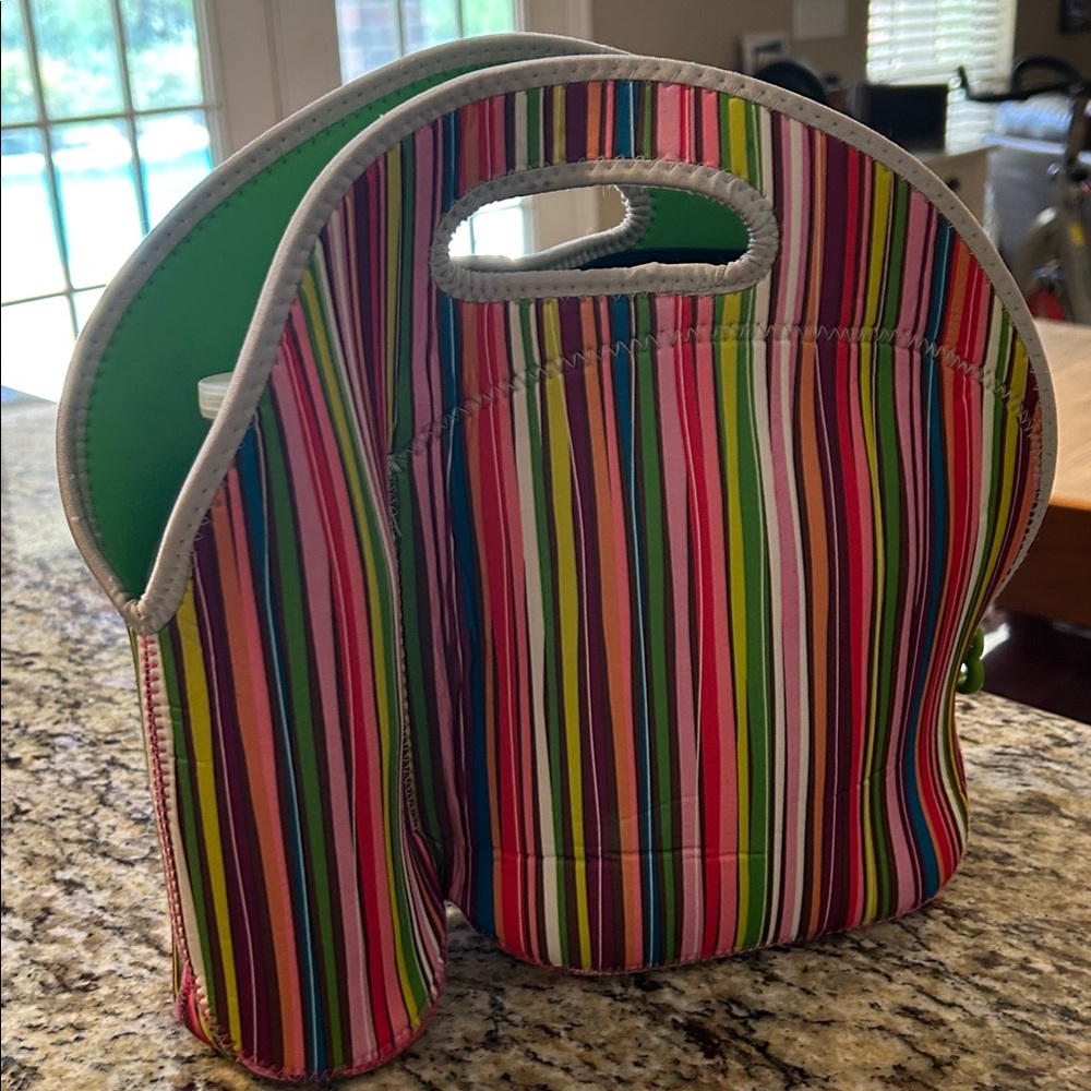 Colorful Striped insulated Lunch Tote with drink compartment.